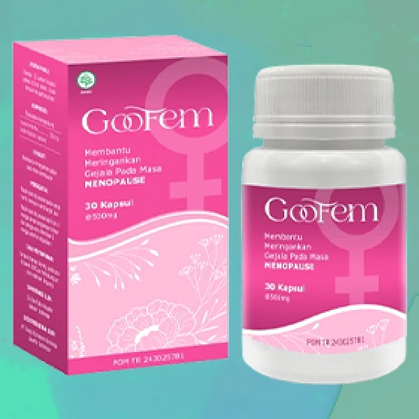GOOFEM