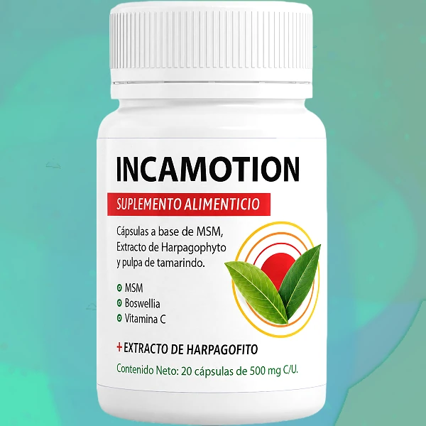 IncaMotion